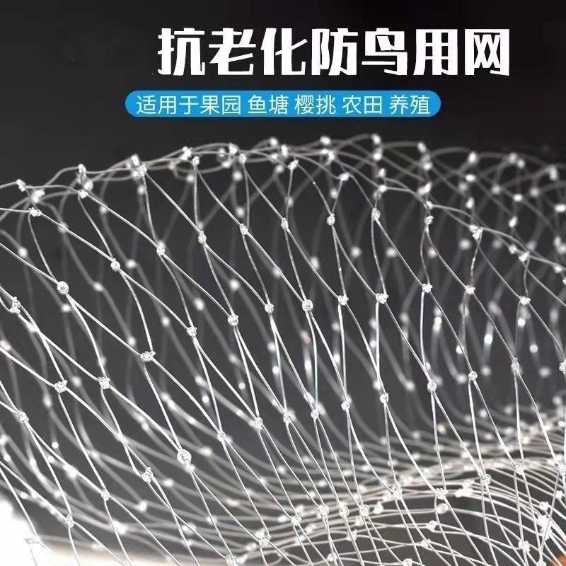 果树防鸟网罩樱桃网嘉宝果用网网纱网防护罩葡萄防虫网菜园网果园,鲜花速递/花卉仿真/绿植园艺,其它园艺用品,淘宝优惠券,粉丝福利购,淘宝优惠卷