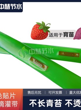 滴灌带农用滴水单双孔16贴片育苗草莓绿色大棚蔬菜微喷溉新型滴管