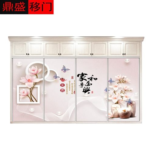 定制衣柜移门推拉门钢化玻璃衣橱滑动门定做衣橱简约衣帽间隔断门