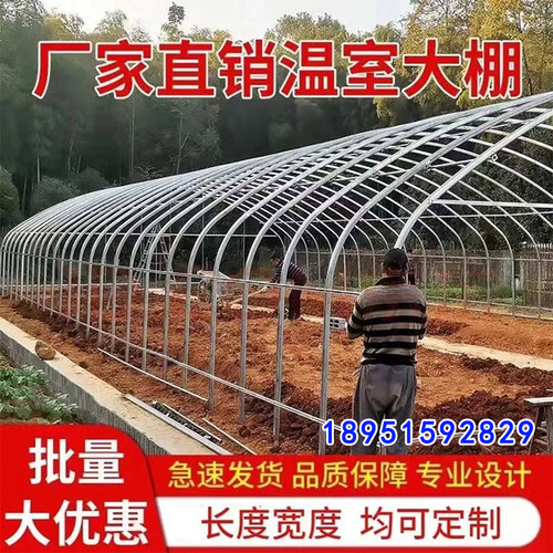 大棚骨架钢管全套农业种植蔬菜养殖牛棚猪舍温室连栋棚椭圆管定制