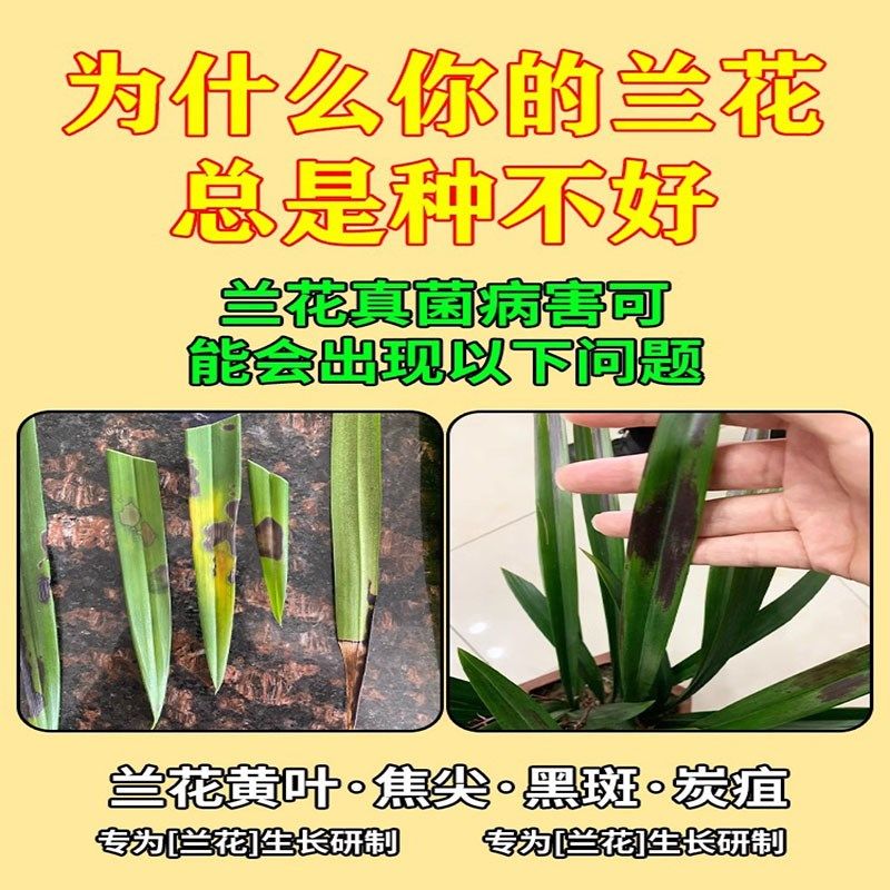 兰花营养液多箭素生根发芽肥料专用肥兰科活化剂干尖黄叶爆花箭素,鲜花速递/花卉仿真/绿植园艺,家庭园艺肥料,淘宝优惠券,粉丝福利购,淘宝优惠卷