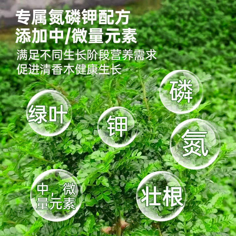 清香木营养液花肥清香木肥料专用肥复合肥胡椒木营养液叶面肥盆景