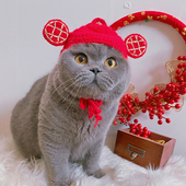 迎财神 猫咪狗狗新年帽子过年小猫头套英短头饰宠物针织毛线饰品