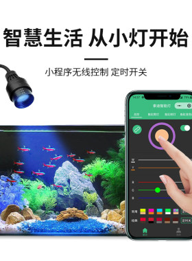 鱼缸射灯南美缸射灯观赏灯小鱼缸专用变焦led灯防水照鱼灯水草灯