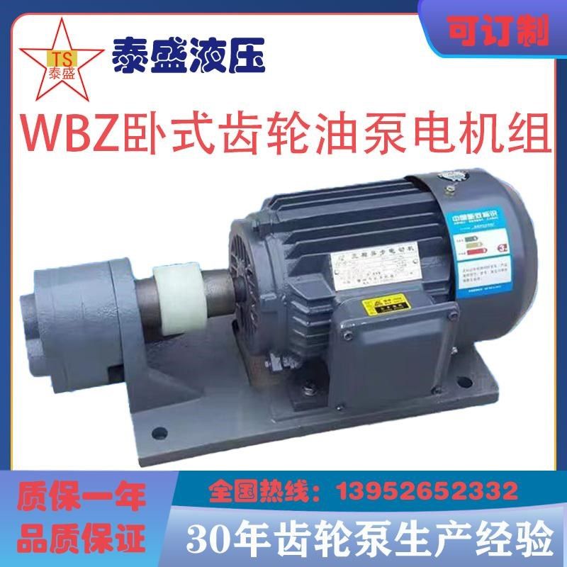 WBZ-16 WBZ-25卧式齿轮油泵电机组装置WBZ2-32 20 功率1.1/1.5KW