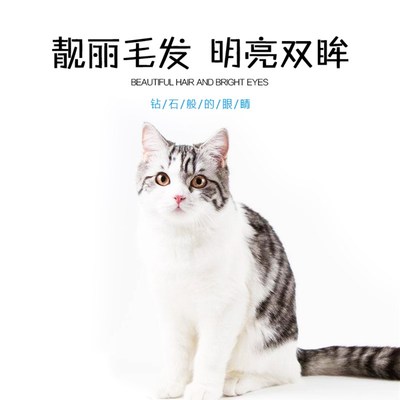 力狼海洋鱼猫粮成猫幼猫低盐英短防毛球美毛散粮通用猫粮5斤装