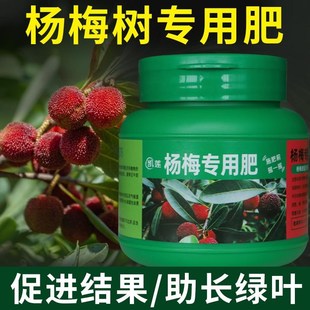 杨梅树专用肥料杨梅复合有机肥果树开花结果磷酸二氢钾氮磷钾化肥