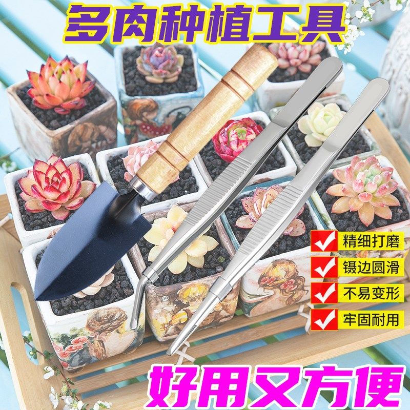 多肉铲子工具套装不锈钢镊子园艺小铲子铲土三件套养花夹种植水壶,鲜花速递/花卉仿真/绿植园艺,园艺用品套装,淘宝优惠券,粉丝福利购,淘宝优惠卷