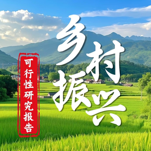 乡村振兴项目建议书立项方案企划案计划书可研报告编制
