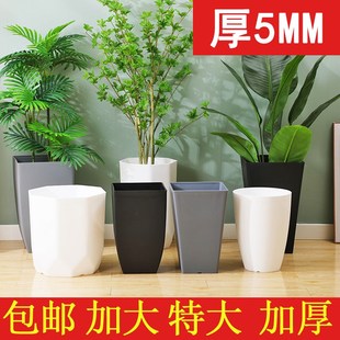 大花惠兰花盆蕙兰花盆家用专用盆北美冬青高款高脚高筒客厅