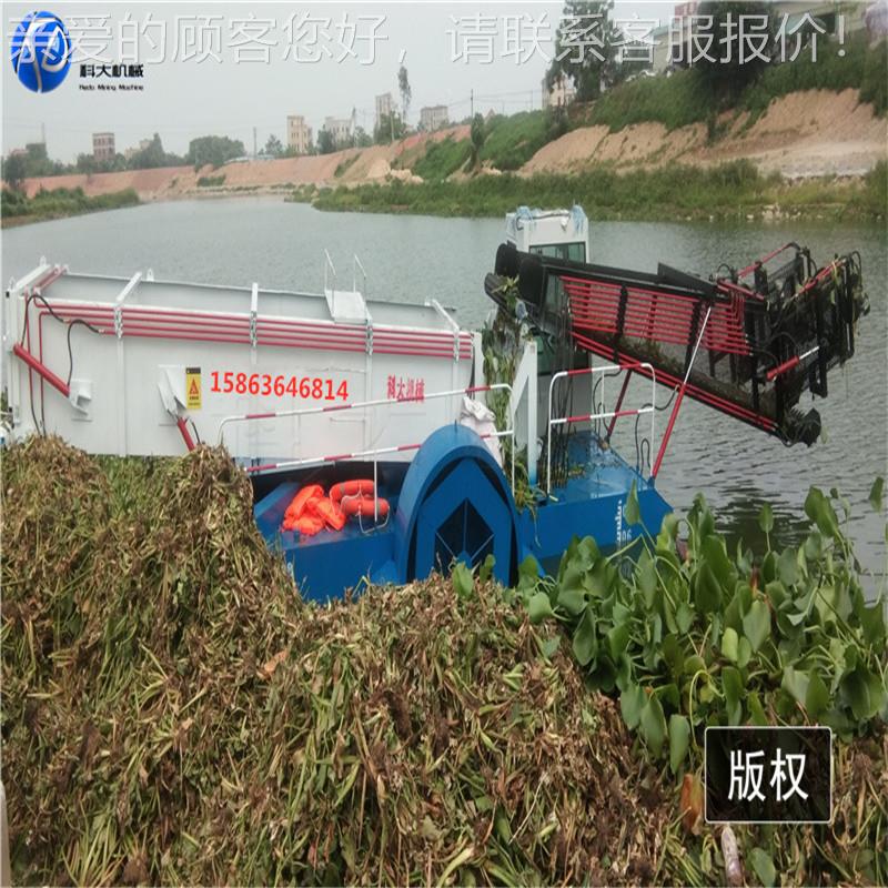 小型半集自动收水草收割船 芦苇割船水KD-100浮莲 捞草船收范围广