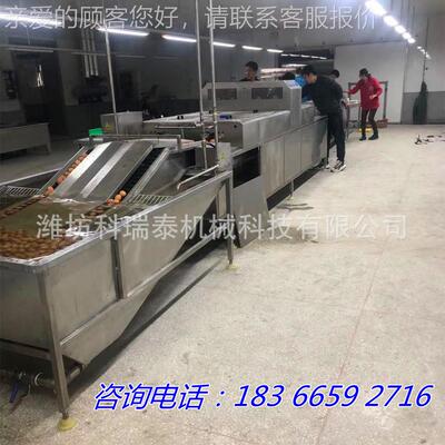 大型AUD双排龙水环循自动蛋机 尼毛刷鸡蛋洗清洗机 厂家免费试机