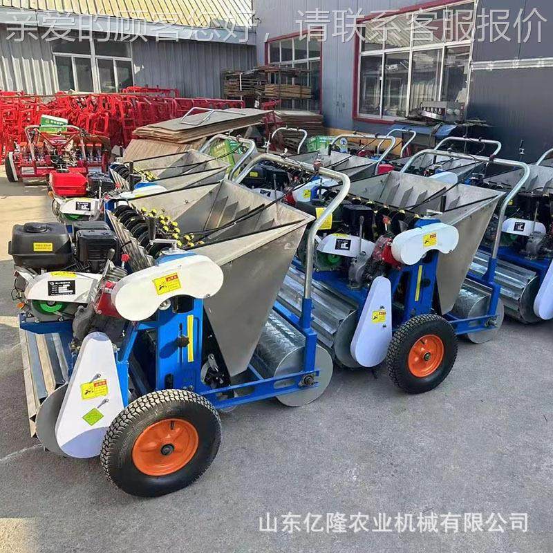 金乡汽油六行大蒜播YL-BZJ大种机手 株式距可调蒜种植机 推蒜瓣点