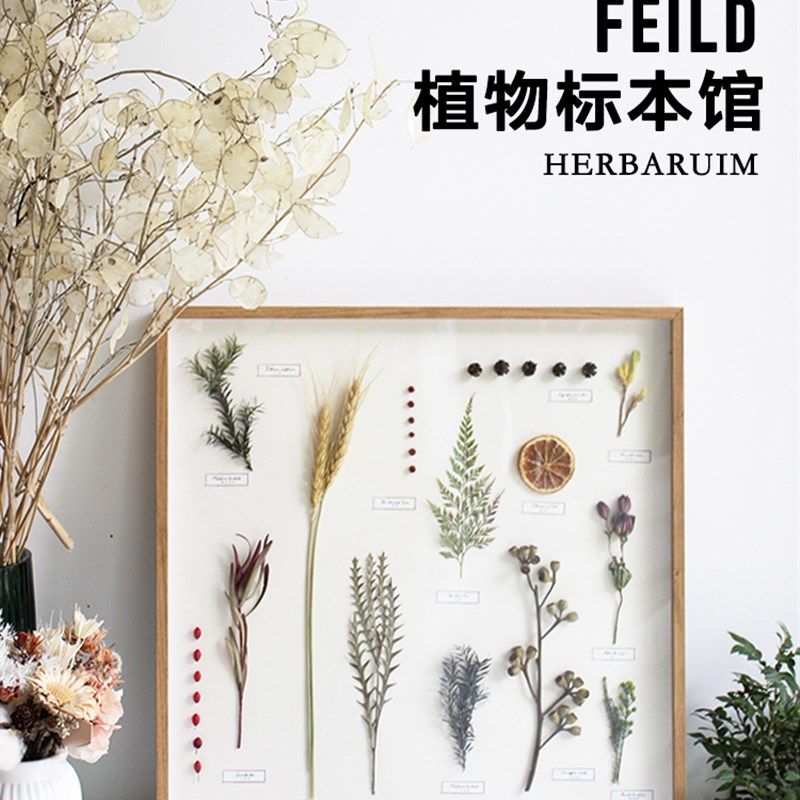 植物标本装饰画花卉花草挂画民俗样板间咖啡馆软装陈列摆件背景墙