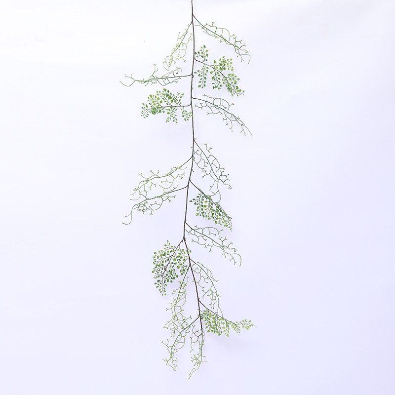 蕾欣黑骨芒绿植藤条蔓藤缠绕装饰爬藤蕨类绿植藤条造景点缀,家居饰品,仿真花/假花,淘宝优惠券,粉丝福利购,淘宝优惠卷