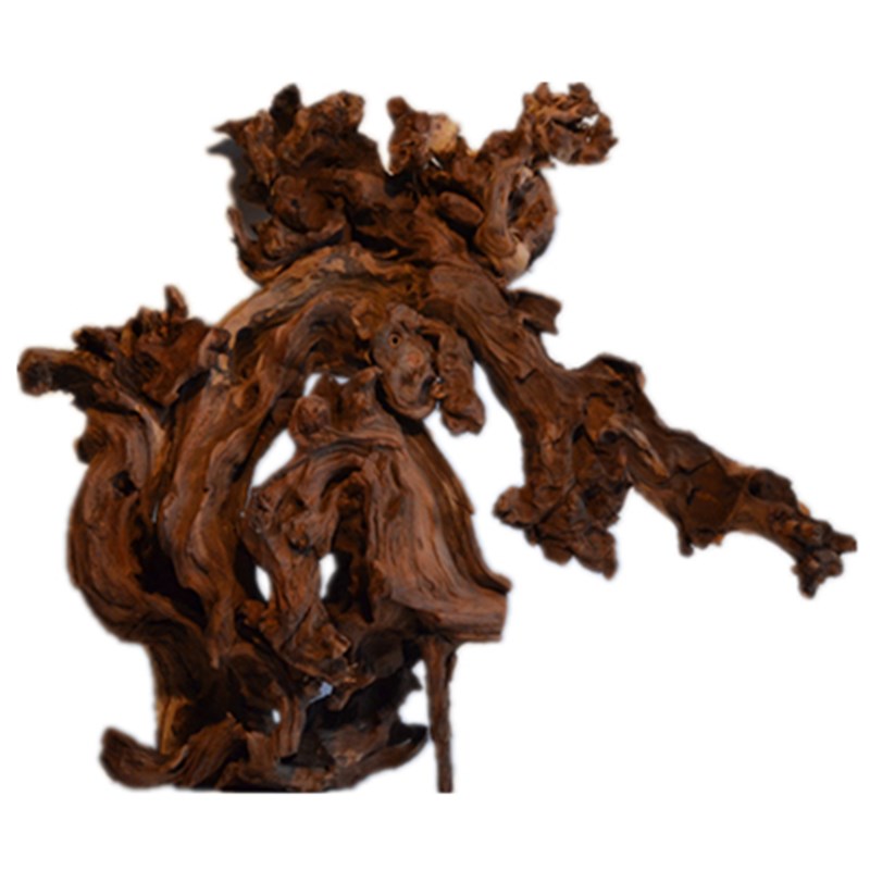 水沉木金丝红木根雕根艺天然树根鱼缸造景珊瑚木紫柚木自然原木