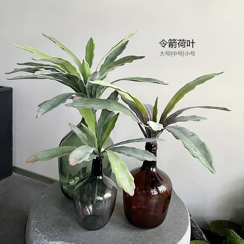 仿真欧版式软胶沙漠绿令箭荷叶巢蕨热带庭院枯景观墙地面装饰