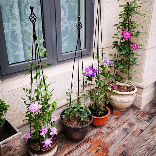 铁艺爬藤架月季铁线莲花架山乌龟花盆支架室内花卉支撑杆园艺花架