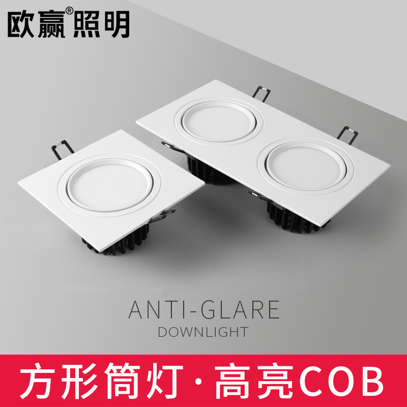 双头筒灯嵌入式led天花灯可调吊顶格栅斗胆灯长方形开孔20*10白色