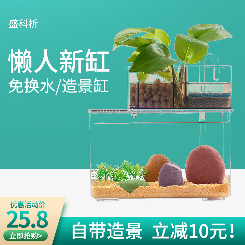 鱼缸小型家用生态造景办公桌客厅迷你斗鱼金鱼养鱼水族箱桌面景观,宠物/宠物食品及用品,桌面缸,淘宝优惠券,粉丝福利购,淘宝优惠卷