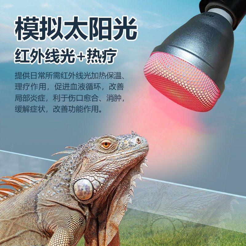新款远红外线加热灯乌龟保温灯高档爬宠加温灯杀菌宠物取暖灯,宠物/宠物食品及用品,加热/保温设备,淘宝优惠券,粉丝福利购,淘宝优惠卷