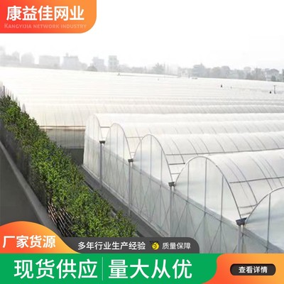 防虫网 蔬菜大棚 果树 抗老化 质保五年 厂家发货