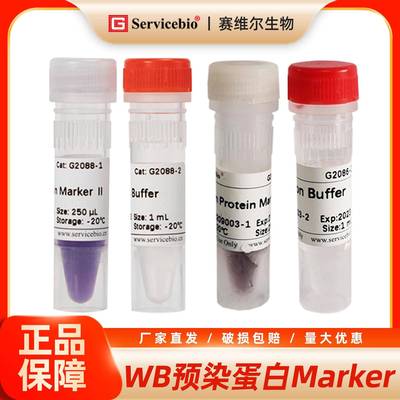 WB预染蛋白Marker 彩虹条带Marker PAGE电泳蛋白分子量标准250ul
