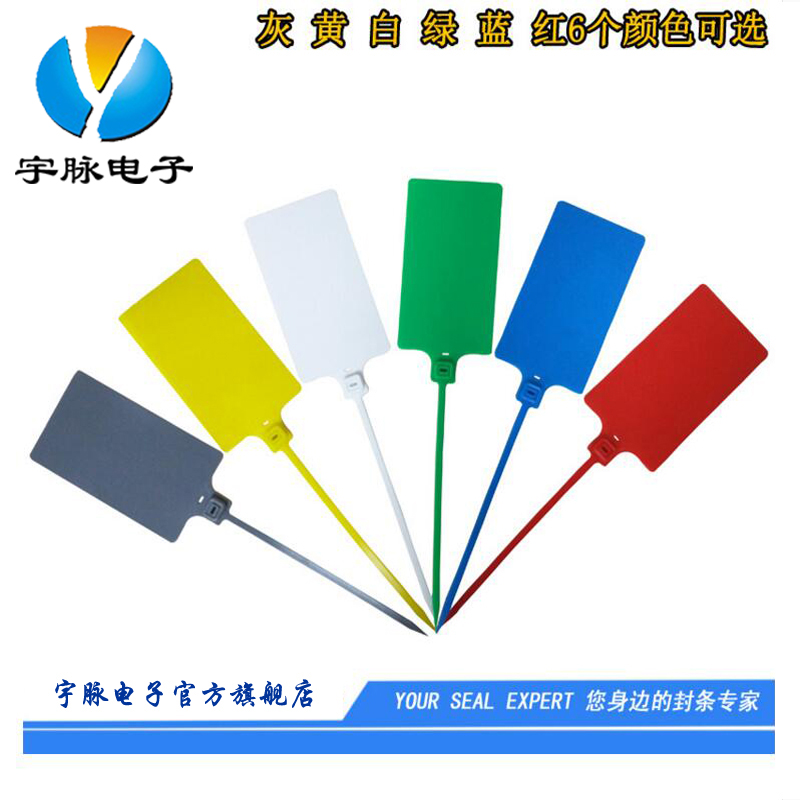 塑料封条大号标牌扎带记号封签物流吊牌标签德邦挂签挂锁  100条