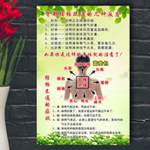 院装 反应症状中医馆挂图 饰墙壁挂画海报养生馆背部经络疏通