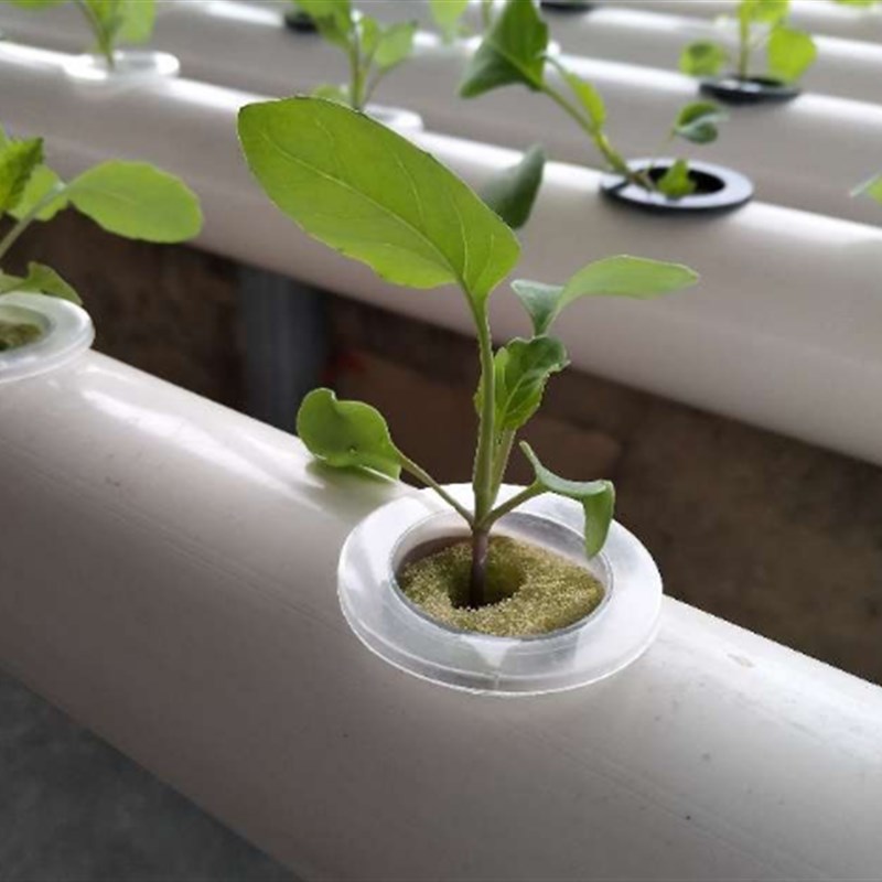 无土栽培设备阳台管道式种菜机室内水培蔬菜自动化水耕草莓种植架