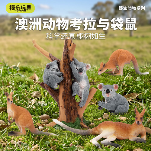 TOYMANY澳洲袋鼠考拉动物模型