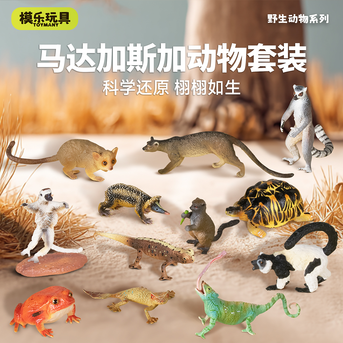 多种狐猴模型马达加斯加套装
