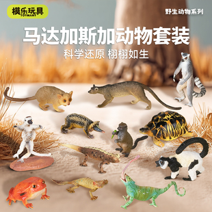 模乐玩具TOYMANY马岛仿真动物模型玩具马达加斯加狐猴儿童认知