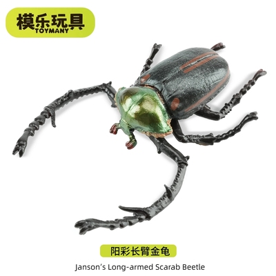 模乐玩具TOYMANY阳彩长臂金龟仿真动物昆虫甲虫模型仿生儿童玩具