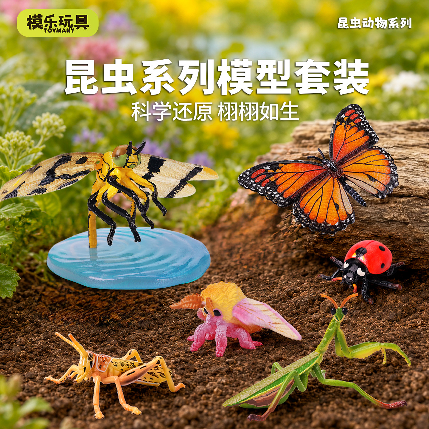 模乐玩具TOYMANY仿真野生动物模型早教认知玩具螳螂蝴蝶昆虫蜻蜓