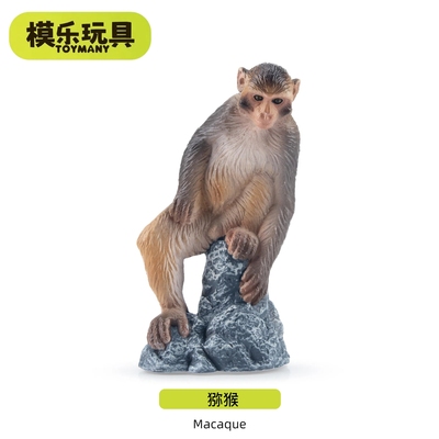 模乐玩具TOYMANY猕猴灵长类系列野生仿真动物模型猴子儿童玩具