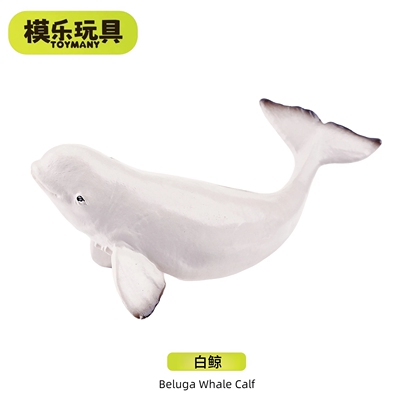 TOYMANY正品海洋生物模型