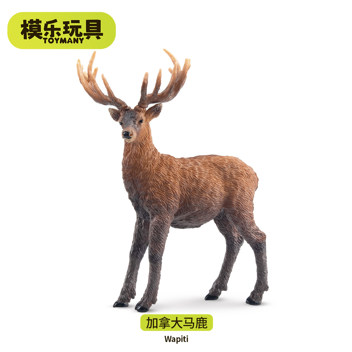 模乐玩具TOYMANY北美森林野生仿真动物模型玩具认知加拿大马鹿