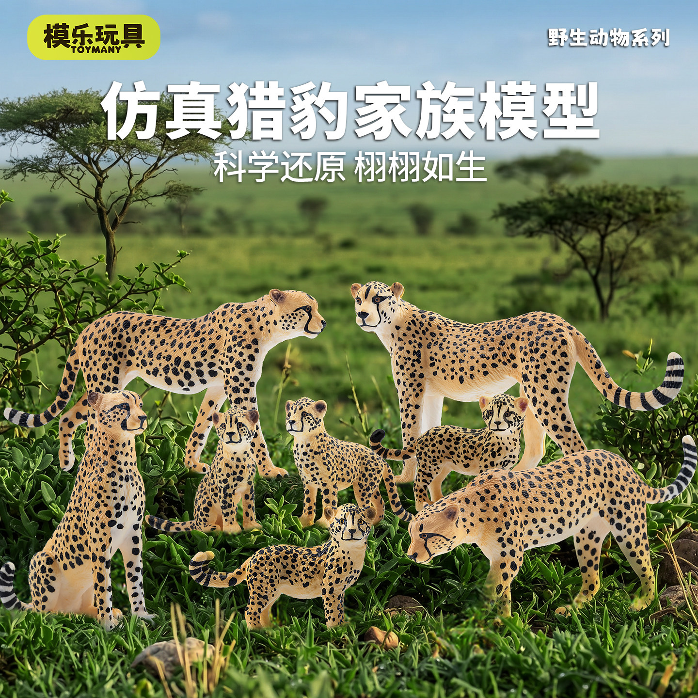 模乐玩具TOYMANY仿真野生动物模型猎豹非洲豹实心花豹儿童玩具