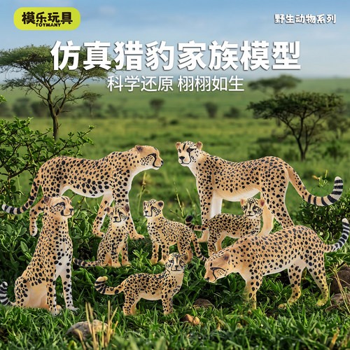 TOYMANY猎豹家庭亲子模型套装
