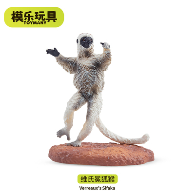 模乐玩具TOYMANY维氏冕狐猴马达加斯加野生仿真动物模型儿童玩具
