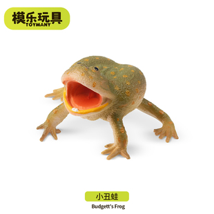 模乐玩具TOYMANY小丑蛙仿真动物模型树蛙青蛙玩具儿童认知启蒙