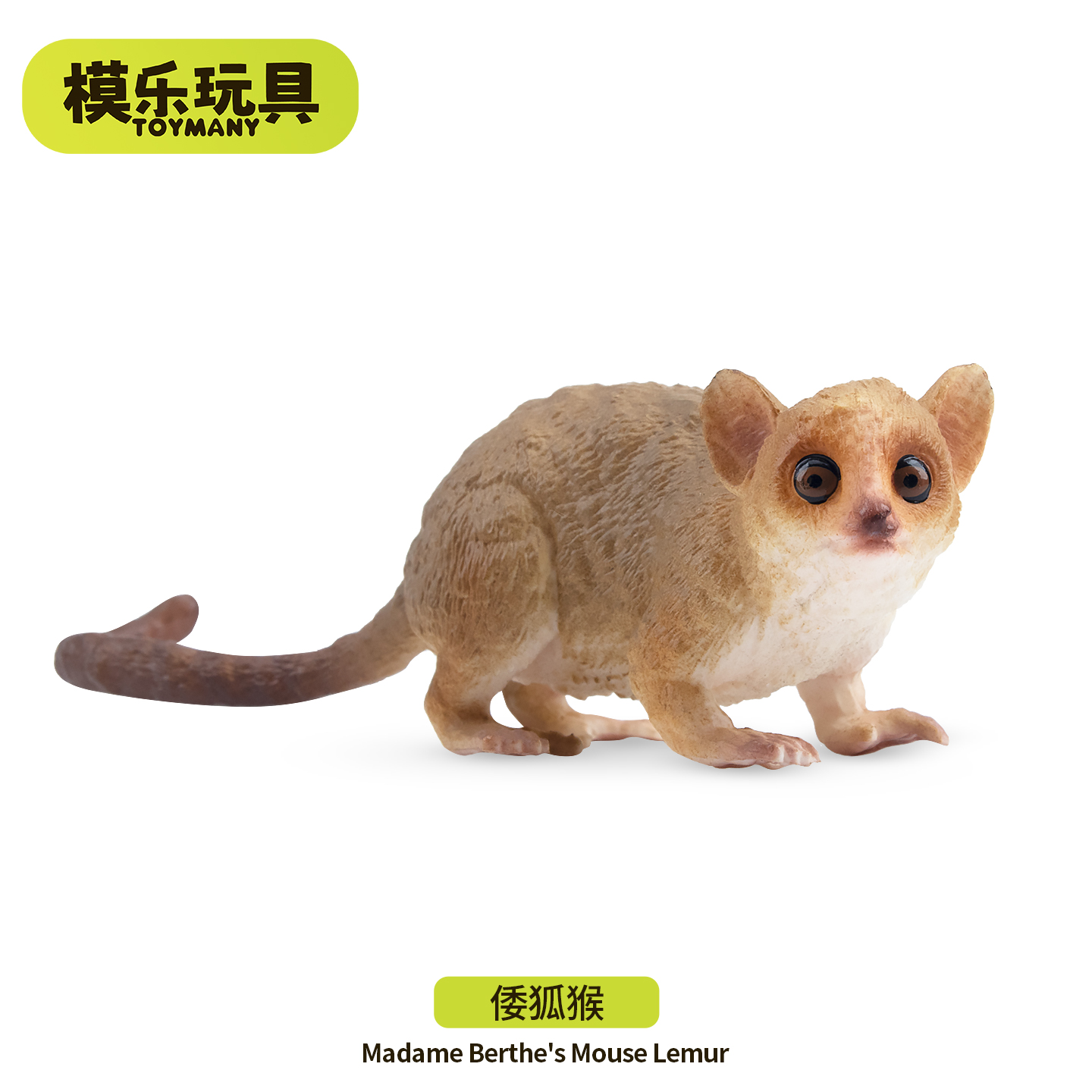 模乐玩具TOYMANY马达加斯加野生仿真动物模型倭狐猴玩具儿童认知