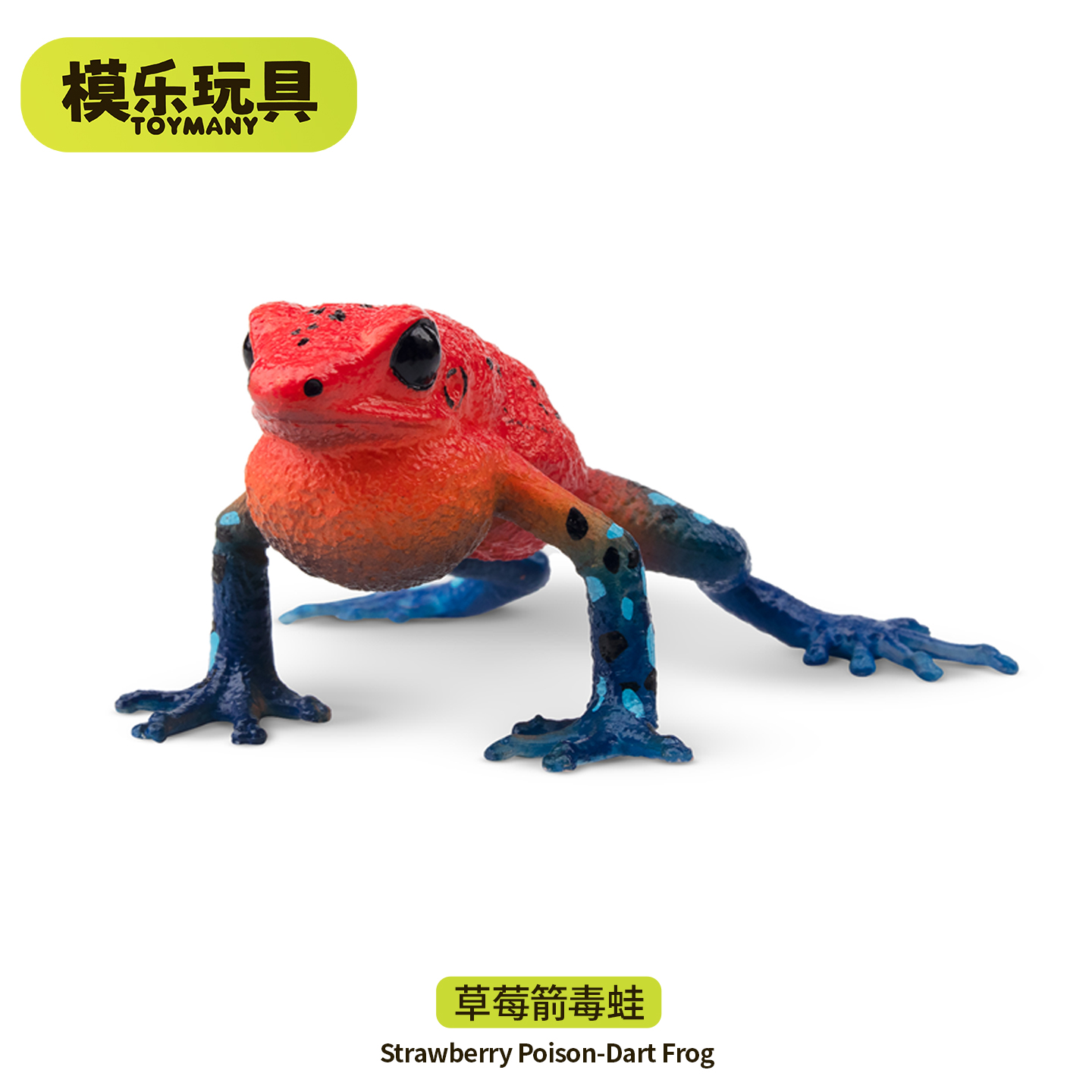 模乐玩具TOYMANY仿真动物模型树蛙青蛙玩具草莓箭毒蛙儿童认知