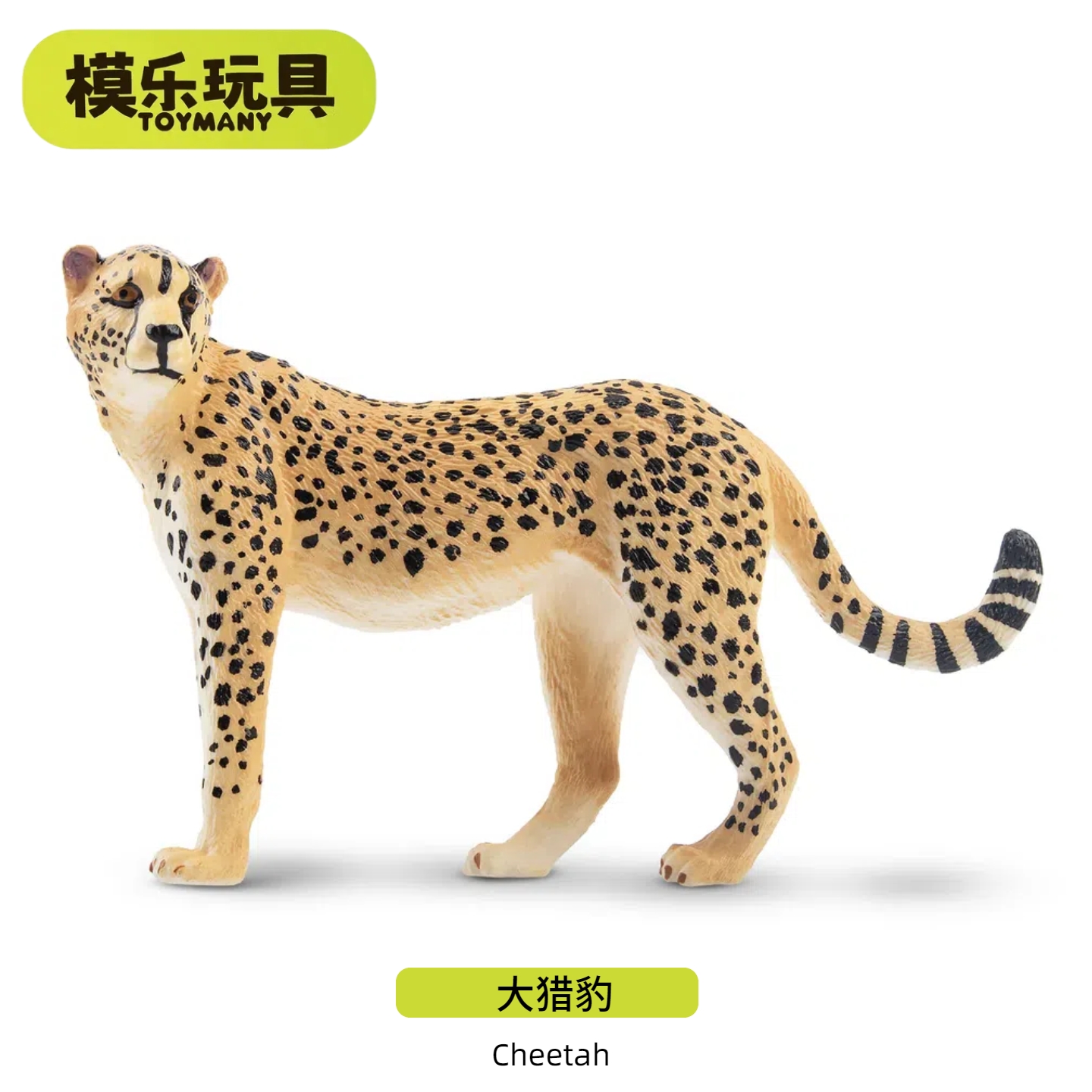 模乐玩具TOYMANY大猎豹仿真野生动物模型豹子儿童玩具猛兽摆件