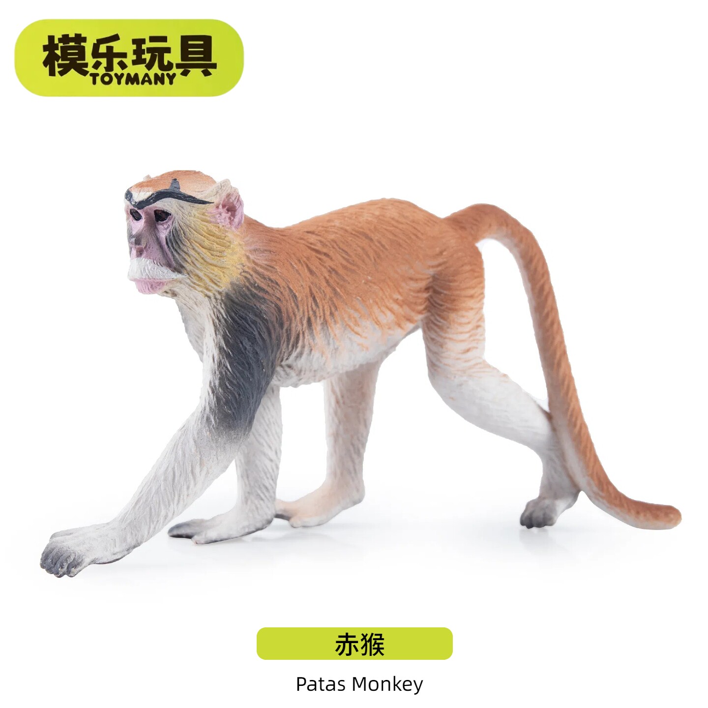 模乐玩具TOYMANY赤猴灵长类系列野生仿真动物模型猴子儿童玩具图片