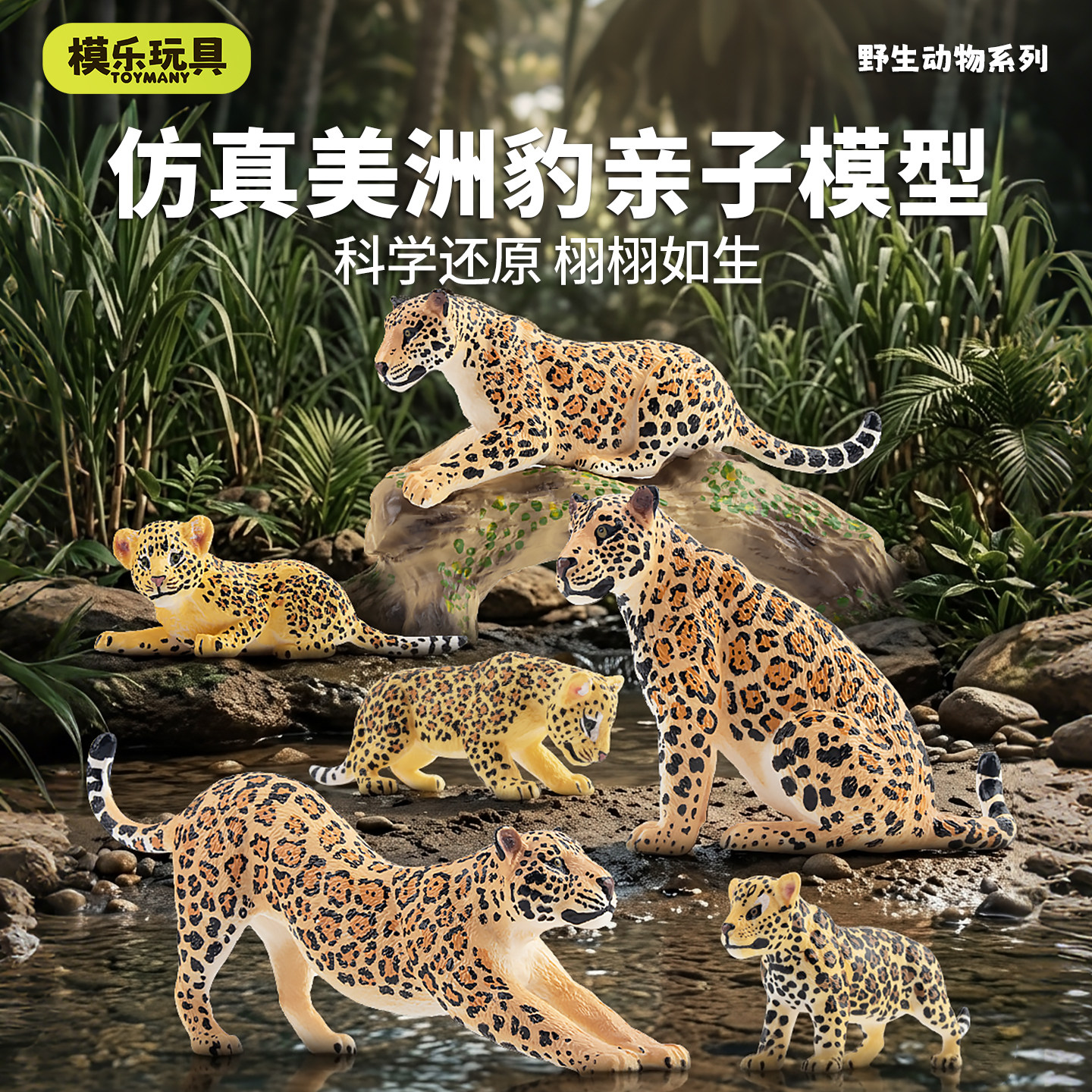 模乐玩具TOYMANY仿真野生动物模型美洲豹亲子套装花豹儿童玩具