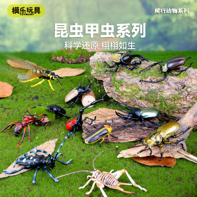 模乐玩具TOYMANY仿真动物昆虫甲虫模型天牛大兜虫独角仙儿童玩具