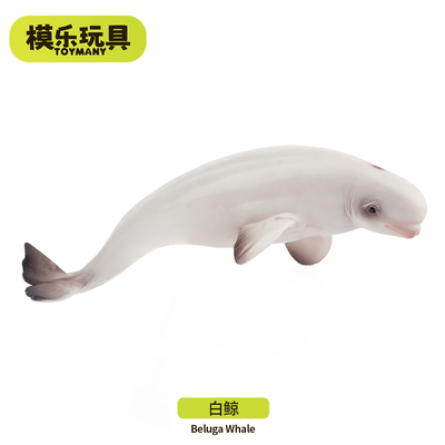 模乐玩具TOYMANY极地北极海洋仿真动物模型鲸鱼白鲸儿童玩具