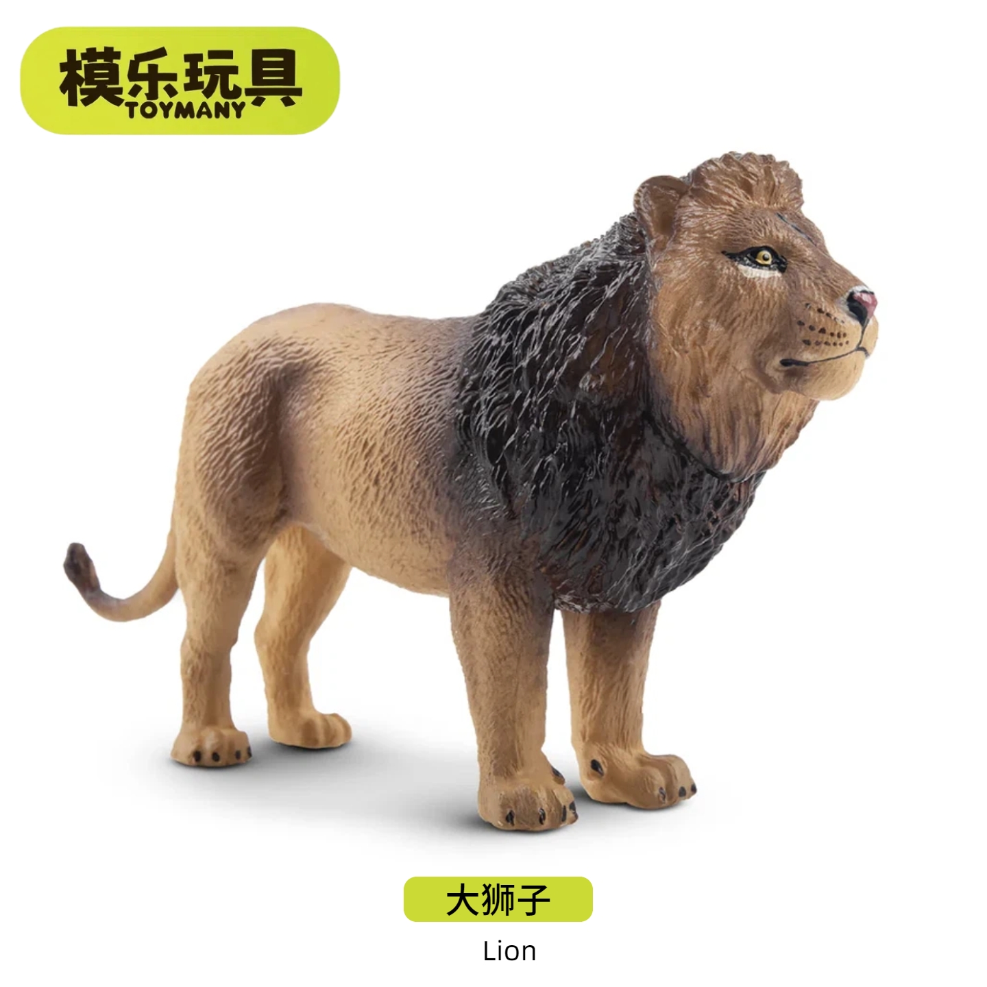 模乐玩具TOYMANY大狮子仿真野生动物模型非洲狮雄狮儿童玩具
